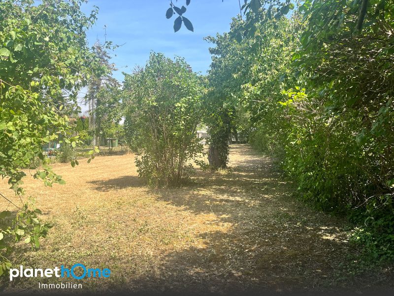 Ich träum von Eßling - ca. 500 m² Eigengrund für naturnahes Wohnen! / / 1220 Wien / Bild 4