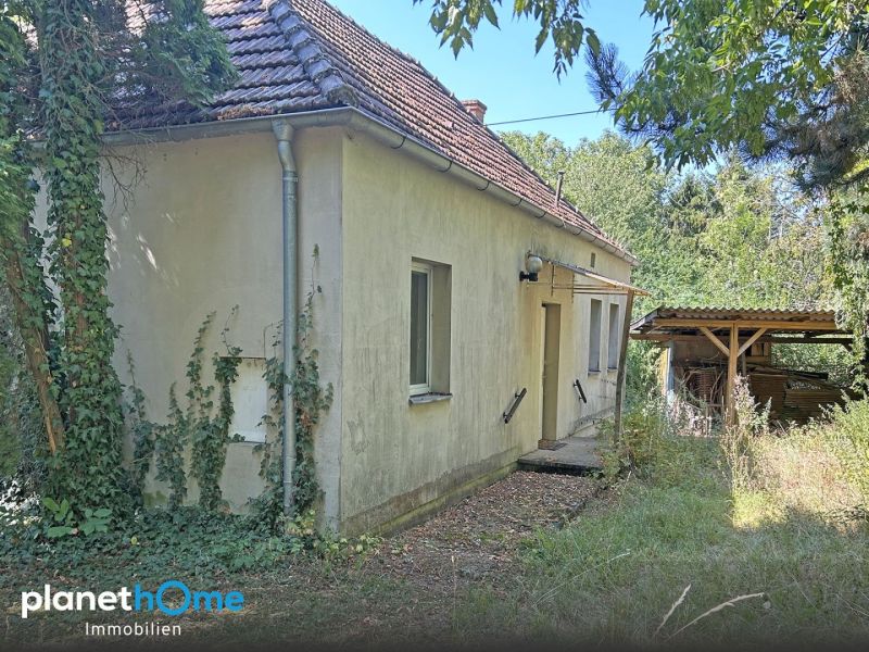 Charmantes Häuschen mit großem Grundstück und viel Potenzial für Ihre Wohnideen / / 7304 Großwarasdorf / Bild 0