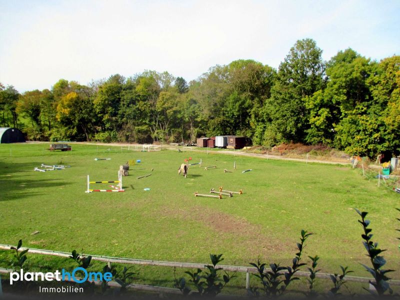 Ruhe. Natur. Lebensqualit�t. Gro�z�giges Wohnen in einer der sch�nsten Lagen Breitenfurts /  / 2384&nbsp;Breitenfurt / Bild 6
