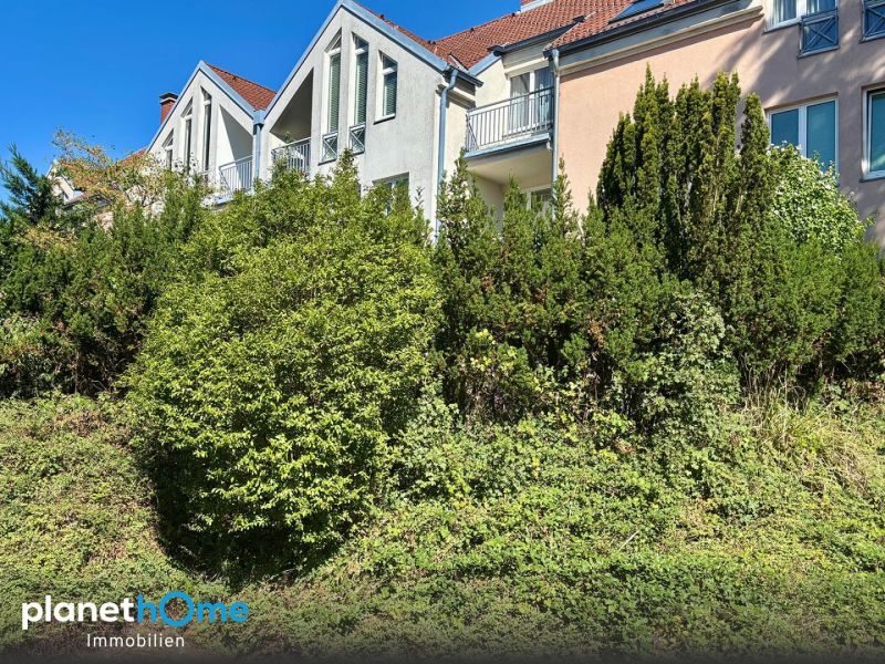 Modernisiert ? Freifl�che ? Wienerwaldblick /  / 3002&nbsp;Purkersdorf / Bild 9