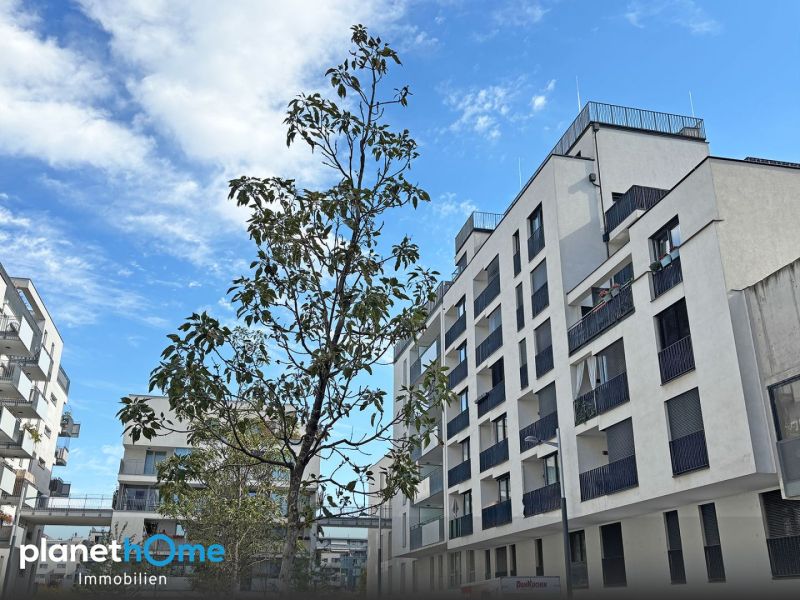 Kirschblütenpark/Vermietete Vorsorgewohnung / / 1220 Wien / Bild 3
