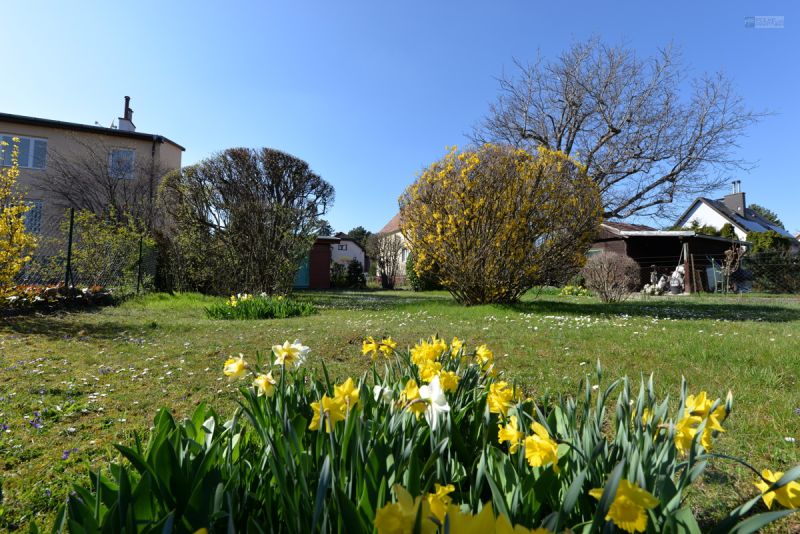 Gartenidylle trifft Stadtnhe // SdwestBaugrundstck in Ruhelage // Ihr neues Zuhause in Inzersdorf