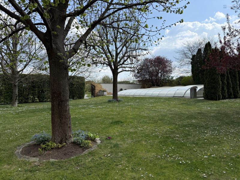 EINZIGARTIGES NATURPARADIES - GROSSZ�GIGER LANDSITZ WO PARKLANDSCHAFT AUF BL�HENDE OBSTG�RTEN TRIFFT /  / 2123&nbsp;Kronberg / Bild 9
