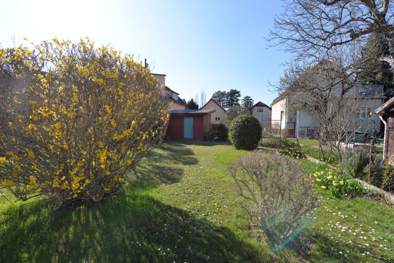 Gartenidylle trifft Stadtnhe // SdwestBaugrundstck in Ruhelage // Ihr neues Zuhause in Inzersdorf /  / 1230 Wien, Liesing / Bild 3