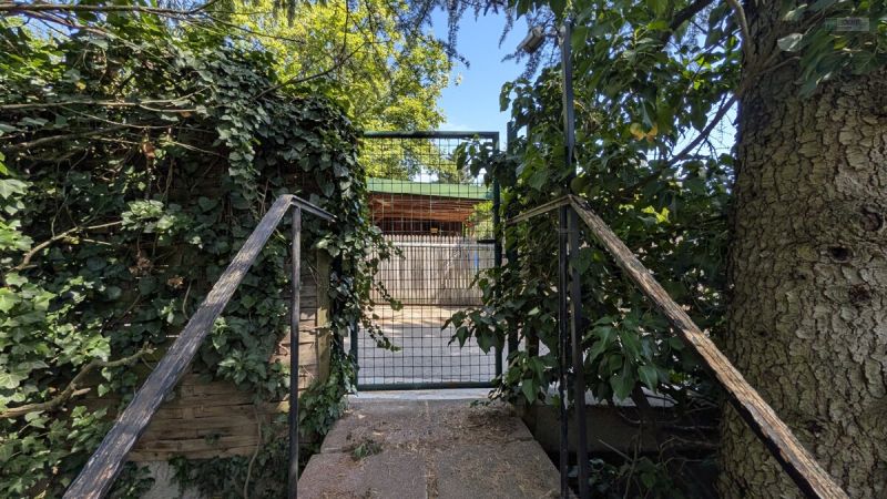 EIN ZUHAUSE MIT ZUKUNFT: Einfamilienhaus mit Entwicklungspotenzial in Bestlage von Hietzing / / 1130 Wien / Bild 9
