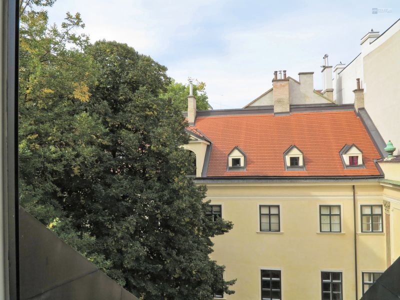 RESERVIERT - WOHNEN IM STADTPALAIS / / 1010 Wien / Innere Stadt / Bild 5