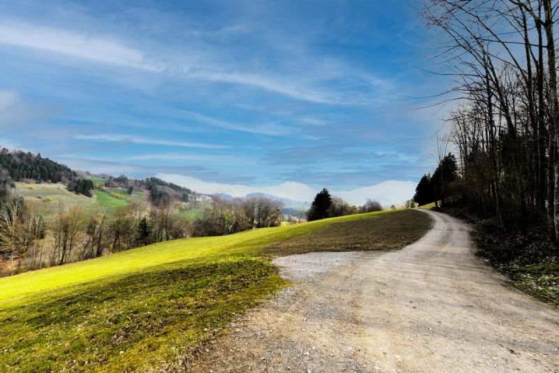 RARIT�T IN ABSOLUTER EINZELLAGE: IDYLLISCHES HIDEAWAY MIT NEBENGEB�UDE & GROSSEM POTENZIAL /  / 3204&nbsp;Kirchberg an der Pielach / Soi / Bild 2