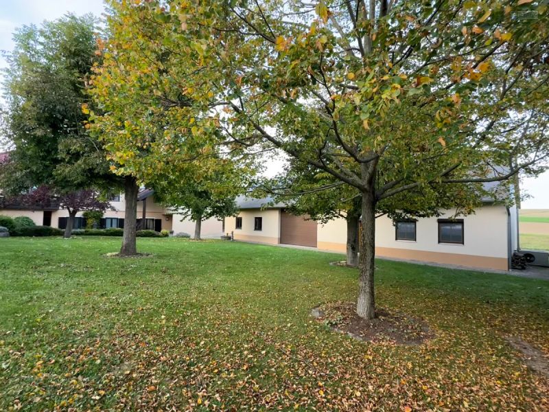 GARTENPARADIES   -  9.000 M - 
LANDHAUS IN PARKLANDSCHAFT  
NUR 30 MINUTEN VON WIEN /  / 2123 Kronberg / Bild 8