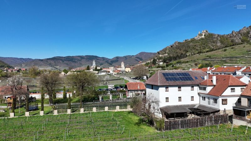 TRADITIONSREICHER WINZERHOF MIT PENSION & HEURIGEN IN BESTER WACHAUER LAGE /  / 3601&nbsp;D�rnstein / Bild 5