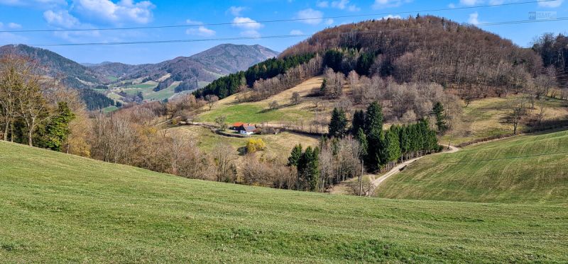 RARIT�T IN ABSOLUTER EINZELLAGE: IDYLLISCHES HIDEAWAY MIT NEBENGEB�UDE & GROSSEM POTENZIAL /  / 3204&nbsp;Kirchberg an der Pielach / Soi / Bild 1