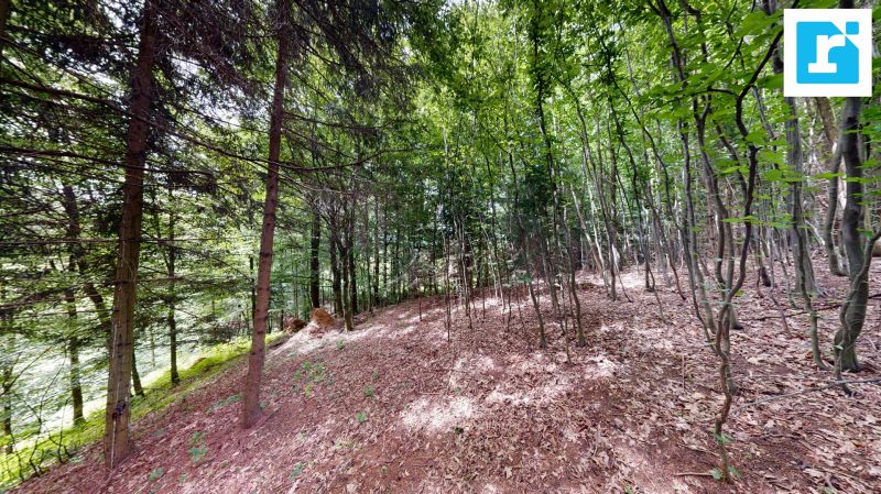 Zwei Wohneinheiten in Ruhelage ? Wohnhaus mit Obstgarten, Wald und vielseitigen Nebengeb�uden /  / 7435&nbsp;Holzschlag / Bild 11