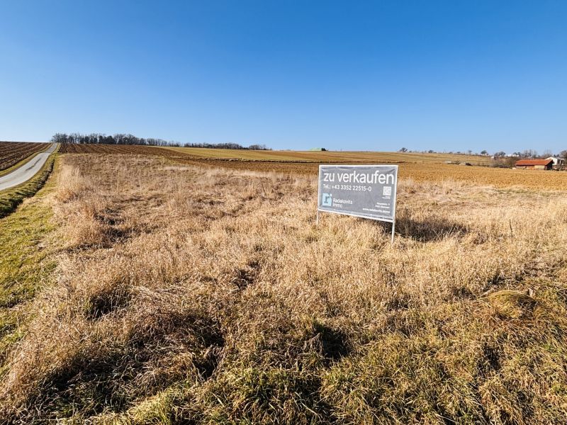 Gewerbegrundst�ck: Bauland-Industriegebiet in Obersch�tzen - Der Platz f�r Ihren Erfolg! /  / 7432&nbsp;Obersch�tzen / Bild 5