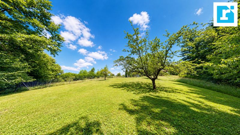 Zwei Wohneinheiten in Ruhelage ? Wohnhaus mit Obstgarten, Wald und vielseitigen Nebengeb�uden /  / 7435&nbsp;Holzschlag / Bild 10
