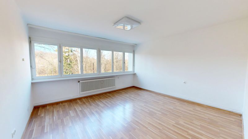 Wohnen am Kurpark ? Aussicht, die man nicht nachrüsten kann / / 7431 Bad Tatzmannsdorf / Bild 1