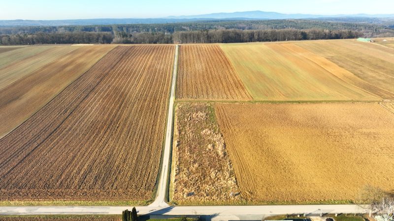 Gewerbegrundst�ck: Bauland-Industriegebiet in Obersch�tzen - Der Platz f�r Ihren Erfolg! /  / 7432&nbsp;Obersch�tzen / Bild 1