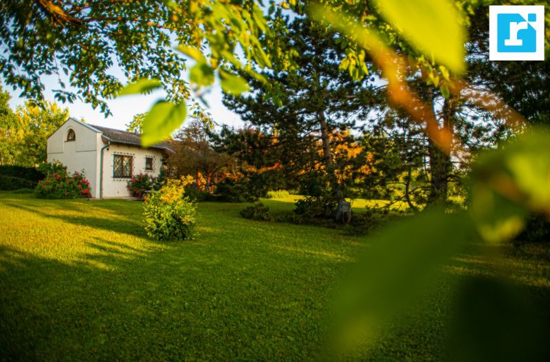 Idyllisches Seegrundstück mit Ferienhaus / / 7100 Neusiedl am See / Bild 1