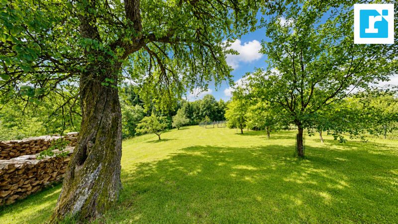 Zwei Wohneinheiten in Ruhelage ? Wohnhaus mit Obstgarten, Wald und vielseitigen Nebengeb�uden /  / 7435&nbsp;Holzschlag / Bild 8