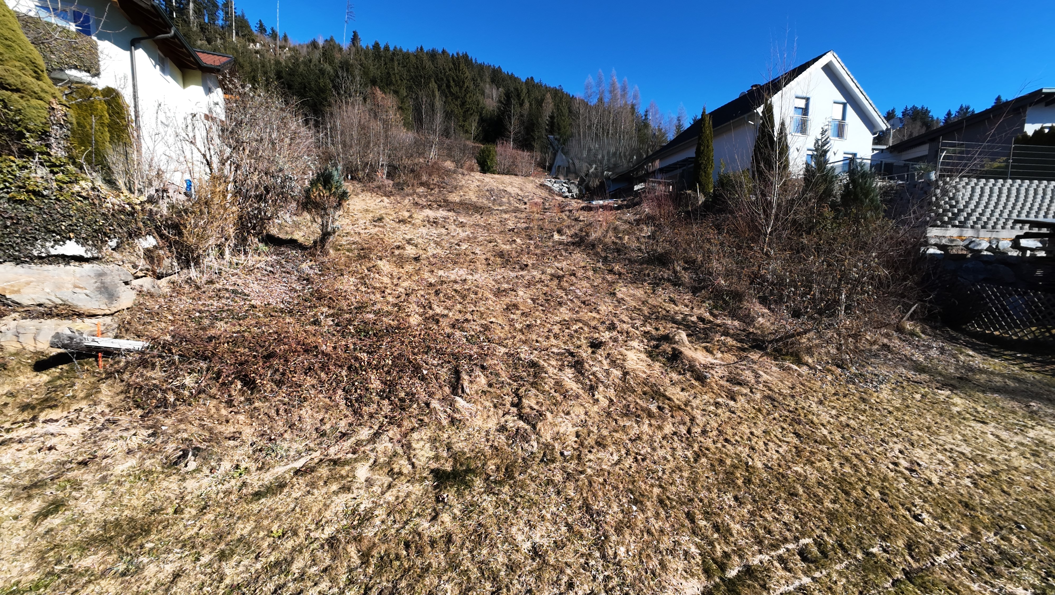 Naturnahes & grozgiges Grundstck mit herrlichem Ausblick in Pfarrwerfen - Ski Amad /  / 5452 Pfarrwerfen / Bild 1