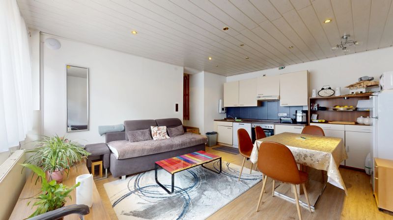 Touristische Vermietung: Attraktive & vielseitige Apartments nahe der Skiregion Schmitten/Zell am See *TOP 1*
