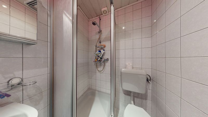 Touristische Vermietung: Attraktive & vielseitige Apartments nahe der Skiregion Schmitten/Zell am See *TOP 1* /  / 5700 Zell am See / Bild 6