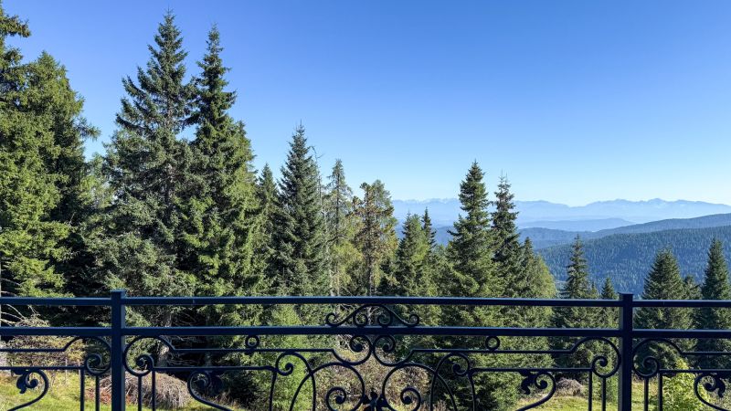 Luxus-Chalet mit Zweitwohnsitzwidmung auf 1.600 m Seeh�he in den K�rntner Nockbergen /  / 9571&nbsp;Albeck / Bild 2