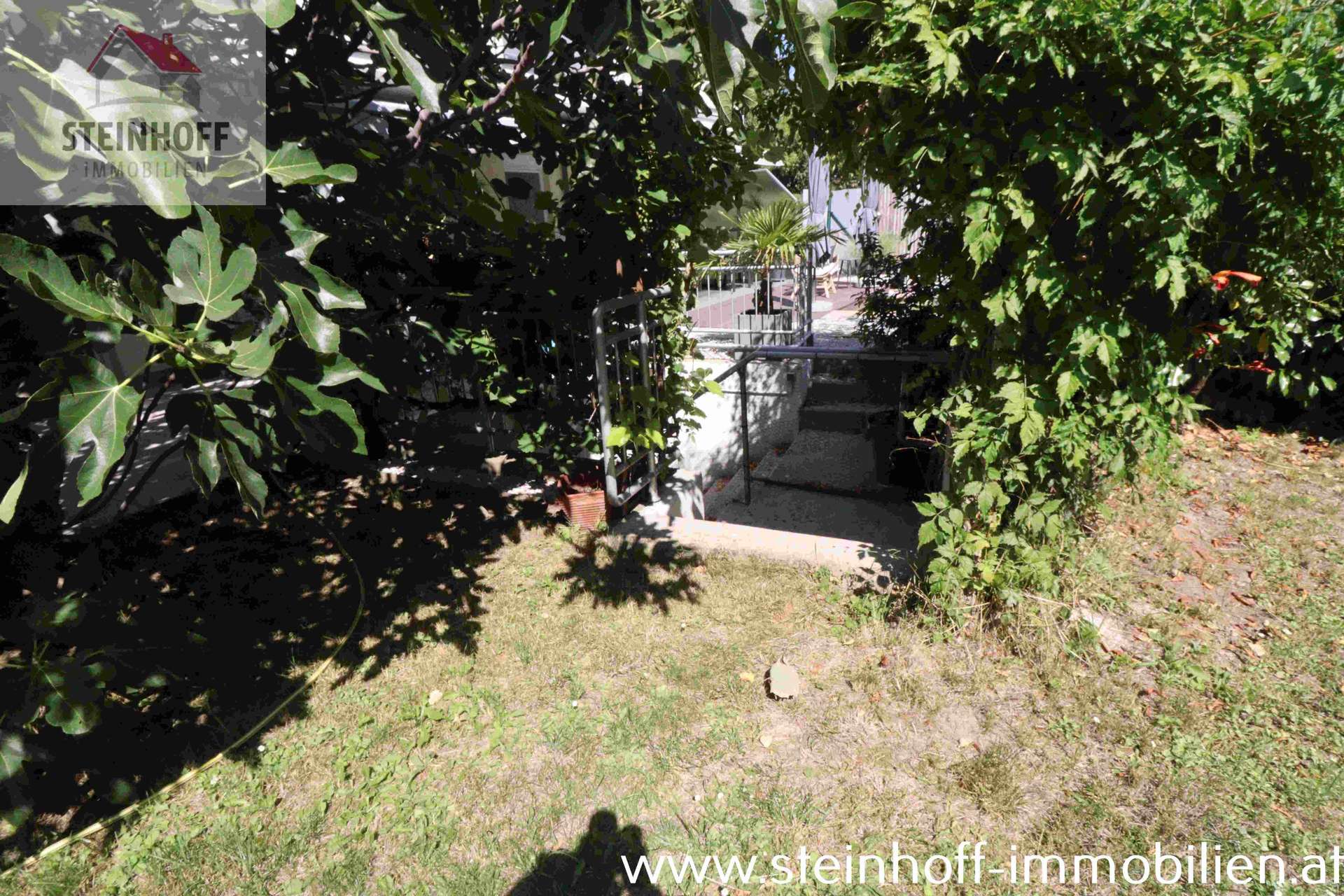 Top Gartenwohnung mit Partykeller/Hobbyraum /  / 2380 Perchtoldsdorf / Bild 7