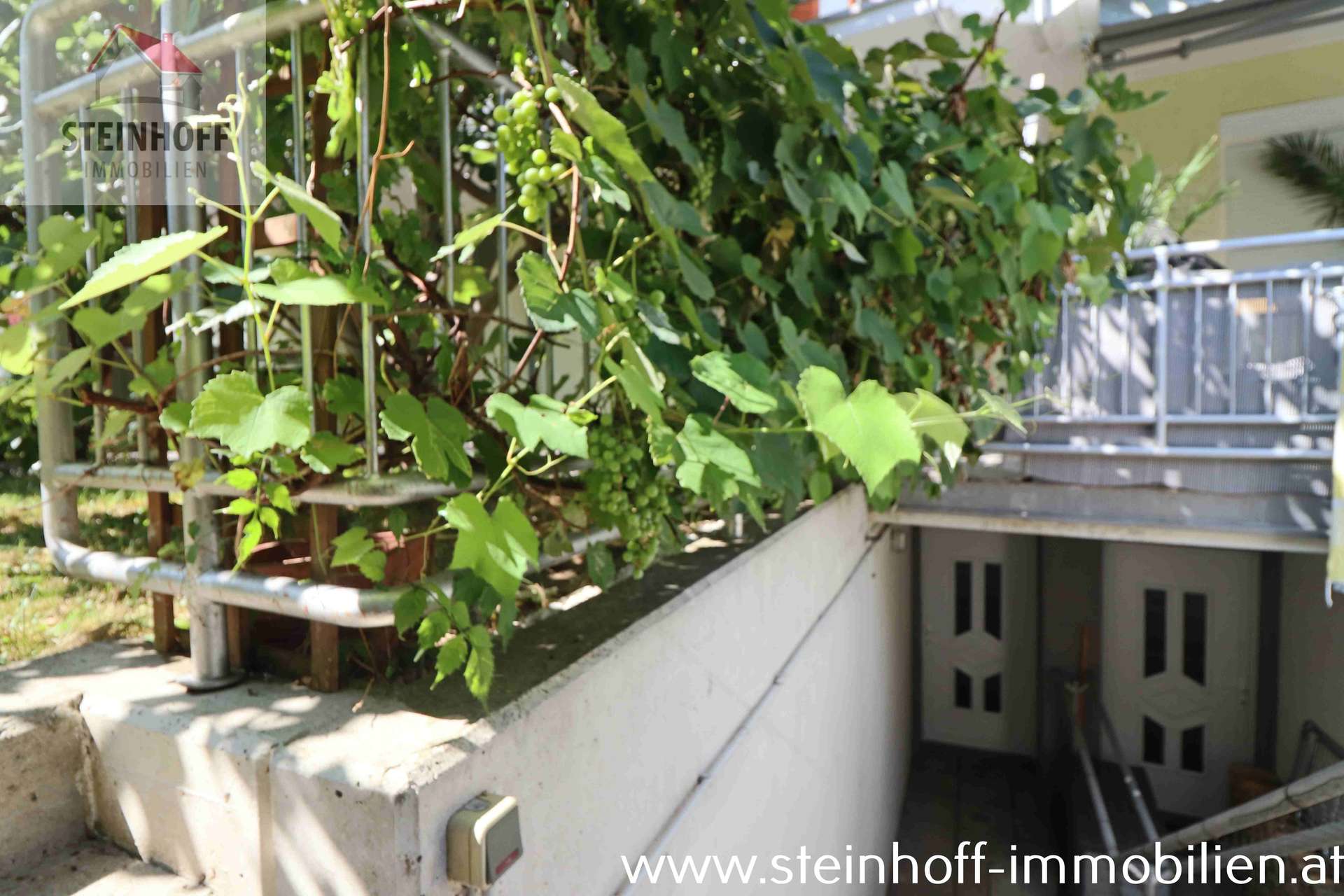 Top Gartenwohnung mit Partykeller/Hobbyraum /  / 2380 Perchtoldsdorf / Bild 6