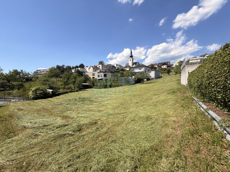 Seltene Gelegenheit: Gro�es Baugrundst�ck in Gramastettner Sonnenlage /  / 4201&nbsp;Gramastetten / Bild 3