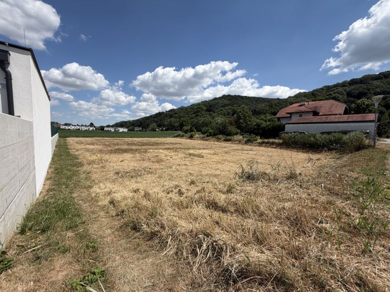 Baugrundst�ck ca. 910m� - Unverbaubarer Blick auf den Gr�ng�rtel - Familienfreundliche Umgebung /  / 3423&nbsp;W�rdern / Bild 3