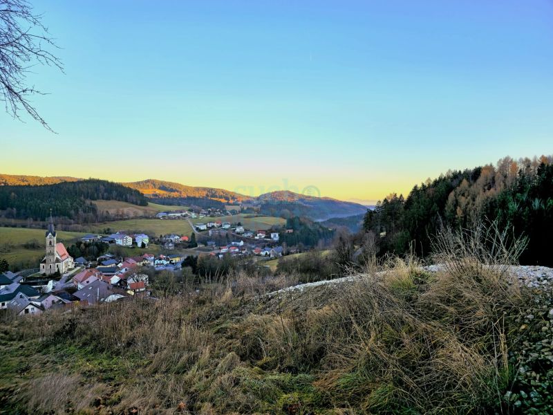 Baugrundst�ck mit flexibler Gr��e und umfangreichen Inklusiv-Leistungen (u. a. Terrassierung) /  / 4204&nbsp;Reichenau im M�hlkreis / Bild 0