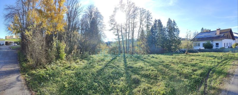 Ein Grundstück - unzählige Möglichkeiten! Perfekt für Bauträger und private Bauherrn / / 4540 Bad Hall / Am Hilgergrund / Bild 1