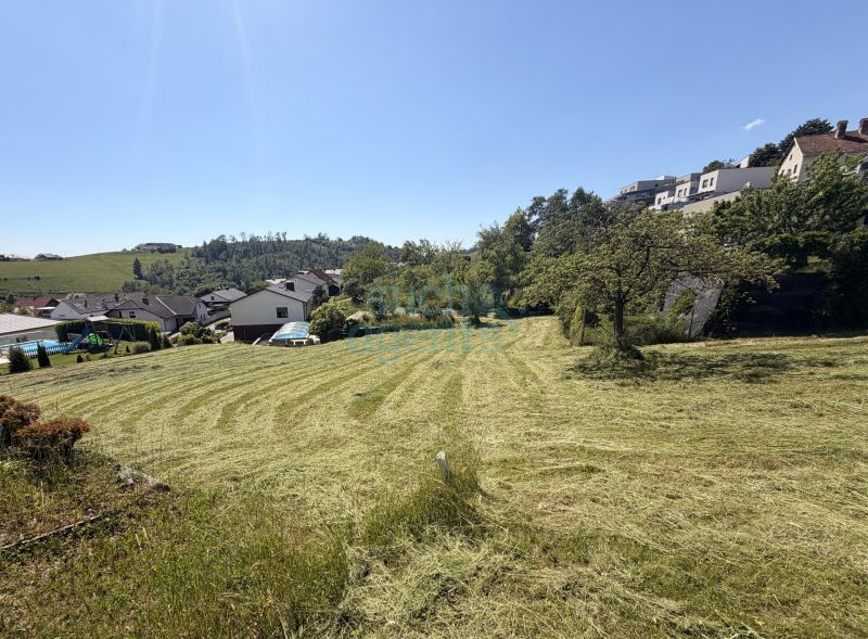 Seltene Gelegenheit: Gro�es Baugrundst�ck in Gramastettner Sonnenlage /  / 4201&nbsp;Gramastetten / Bild 1