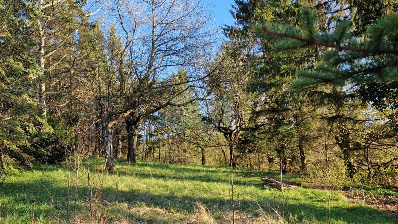 Preisaktion ! Fr�hling 2026 !  Herrlicher Blick �ber Tullner Feld !  Jetzt Termin vereinbaren ! /  / 3430&nbsp;Chorherrn / Bild 3