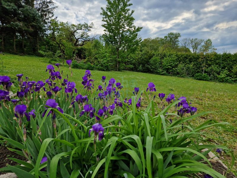 Einfamilienhaus mit großem Grund und sehr viel Modernisierungspotential / / 3434 Tulbing / Bild 4