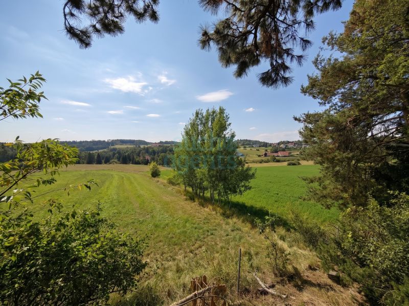 Naturjuwel in Gf�hl ? Gro�z�giges Grundst�ck mit Weitblick - ca. 2.587 m� voller M�glichkeiten /  / 3542&nbsp;Gf�hl / Bild 1