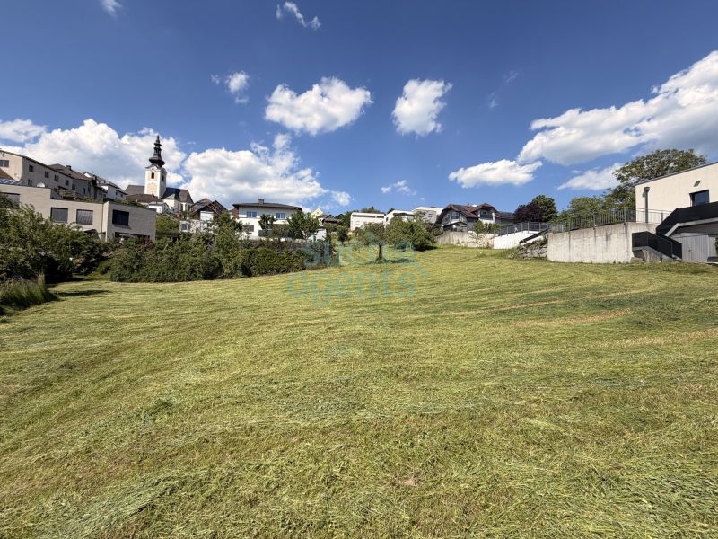 Seltene Gelegenheit: Gro�es Baugrundst�ck in Gramastettner Sonnenlage /  / 4201&nbsp;Gramastetten / Bild 0