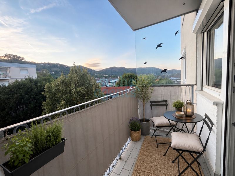 2-Zimmer-Wohnung mit Westbalkon ? teilweise saniert mit weiterem Potenzial