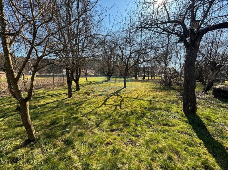 Renovierungsbed�rftiges Einfamilienhaus mit Balkon und Terrasse auf gro�z�gigem Grundst�ck /  / 8530&nbsp;Deutschlandsberg / Bild 3