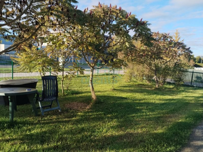 Zweifamilienhaus mit großzügigem Garten in schöner, familiärer Lage in Lebring / / 8403 Lebring-Sankt Margarethen / Bild 3