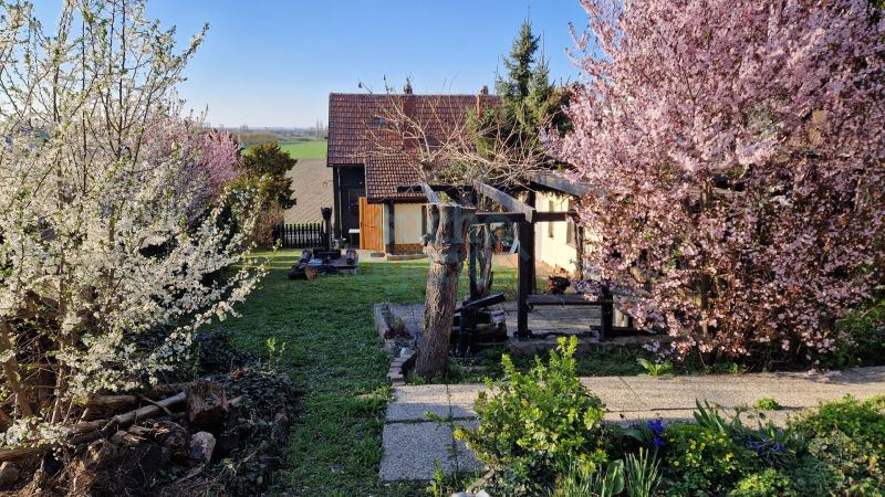 Einfamilienhaus mit großem Grund und sehr viel Modernisierungspotential / / 3434 Tulbing / Bild 0