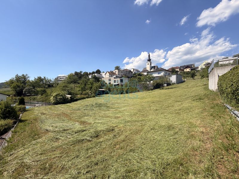 Seltene Gelegenheit: Gro�es Baugrundst�ck in Gramastettner Sonnenlage /  / 4201&nbsp;Gramastetten / Bild 2
