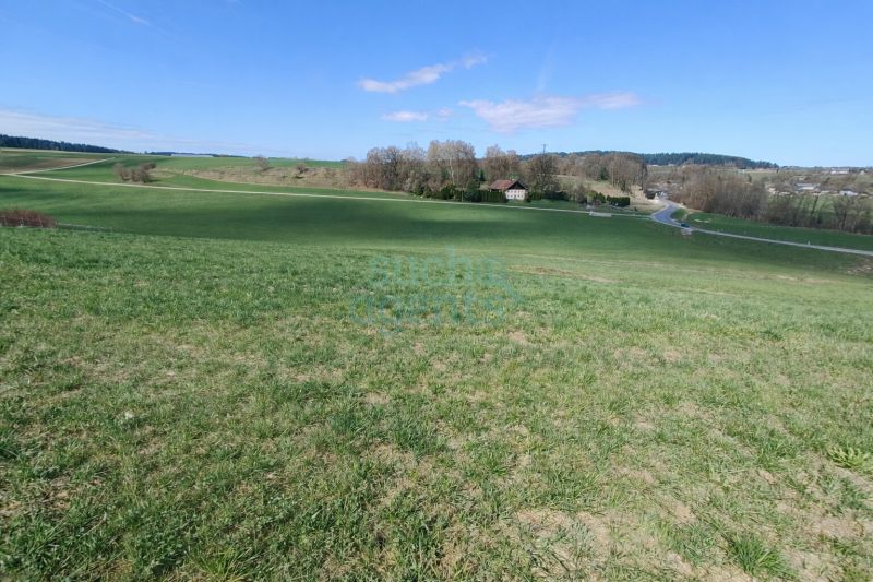 Aehnliche Immobilie - Vorschaubild 3