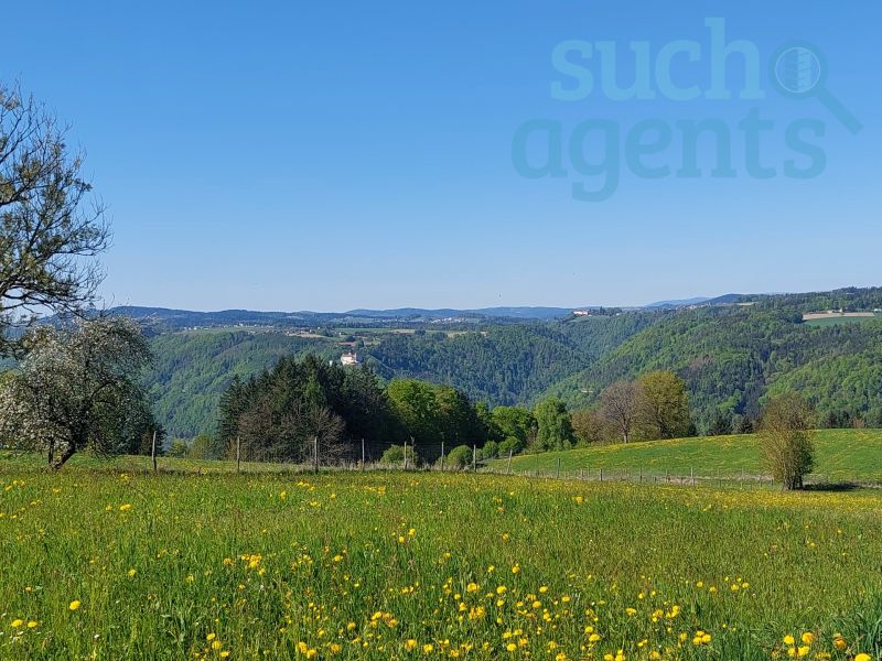 Bauernhaus mit Charme und Potenzial ? ideal fr Tierhaltung! /  / 4085 Waldkirchen am Wesen / Bild 1
