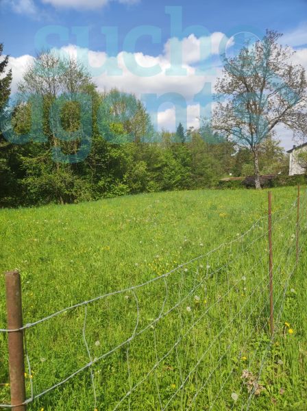 Baugrund mit viel Potential