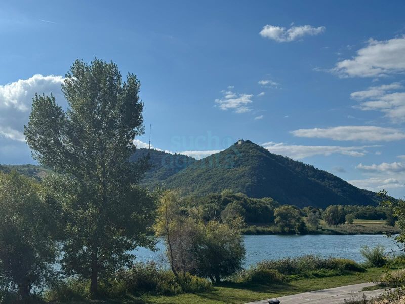 NEUER PREIS! Wohnen auf höchstem Niveau ? Einfamilienhaus mit Gartenparadies nahe der Donauinsel / / 1210 Wien / Bild 5