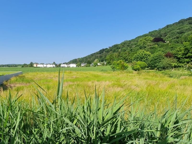 Neuer Preis! Gro�z�giges Baugrundst�ck in sonniger Ruhelage und familienfreundlicher Umgebung /  / 3423&nbsp;W�rdern / Bild 2