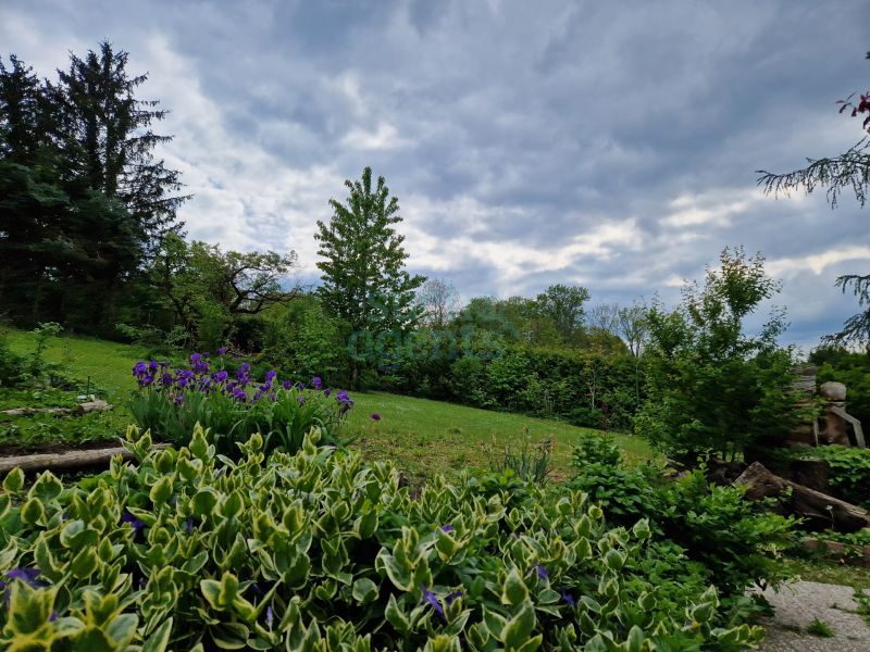 NEUER PREIS! Gro�es Grundst�ck mit ca. 2.965 m� und Potenzial f�r Neubau-, Erweiterungs- oder Umgestaltungsprojekte /  / 3430&nbsp;Chorherrn / Bild 1