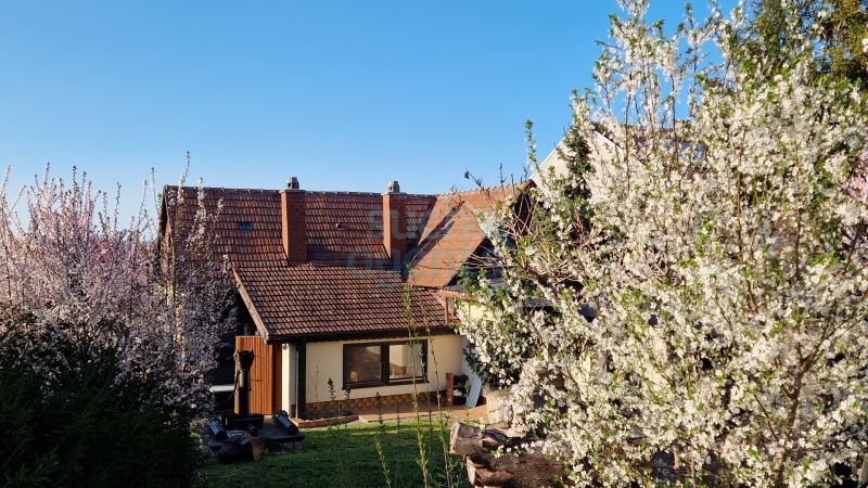 Aktionspreis ! Fr�hling 2026 !  Grundst�ck mit ca. 2.965 m� und viel Potenzial ! /  / 3430&nbsp;Chorherrn / Bild 2