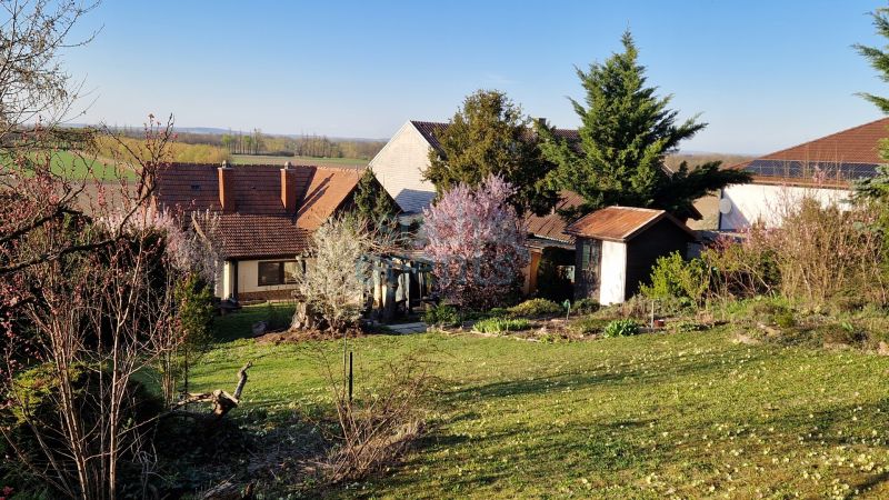 Aktionspreis ! Fr�hling 2026 !  Grundst�ck mit ca. 2.965 m� und viel Potenzial ! /  / 3430&nbsp;Chorherrn / Bild 4