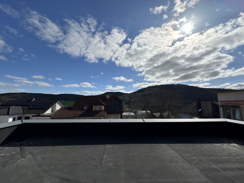 Einfamilienhaus am Waldrand mit Top-Komfort - Naturnah & hochwertig /  / 3508&nbsp;Meidling / Bild 4